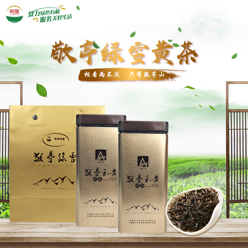 皖墾敬亭綠雪玉黃茶2021年一級(jí)新茶鮮嫩芽葉50g/罐